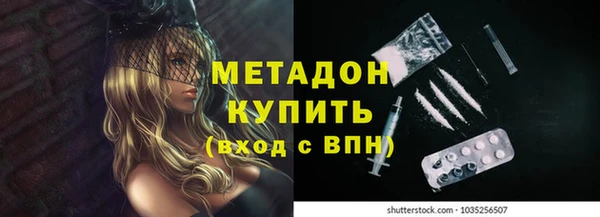 PSILOCYBIN Ельня