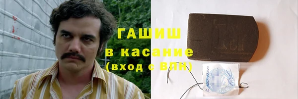 PSILOCYBIN Ельня