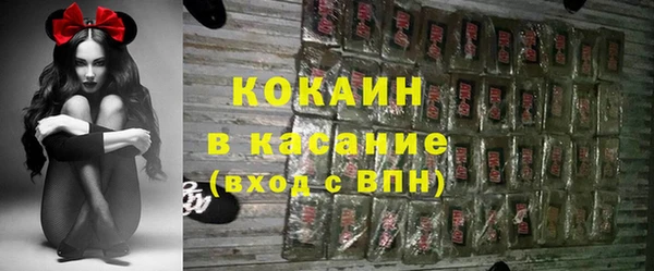 PSILOCYBIN Ельня
