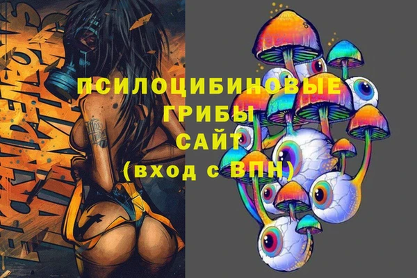 дживик Зеленокумск