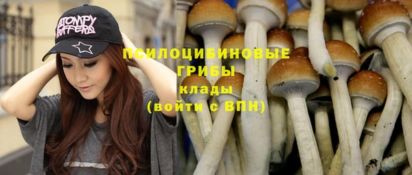 PSILOCYBIN Ельня