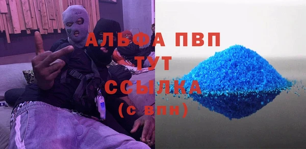 гашик Дмитриев