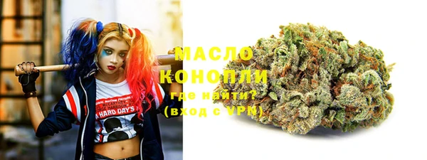 PSILOCYBIN Ельня