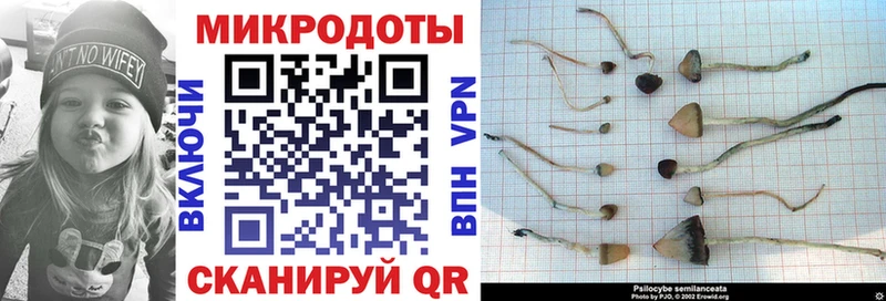 Псилоцибиновые грибы GOLDEN TEACHER  что такое наркотик  Кохма 